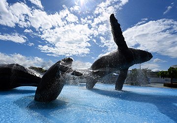 国立海洋生物博物館（海生館と略称）