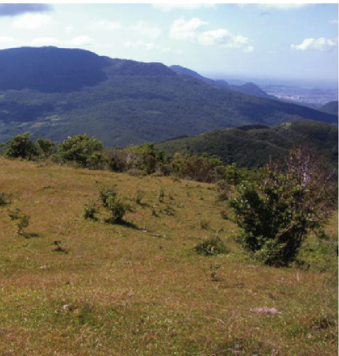 四林格山遊樂區
