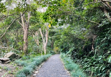 沿山步道