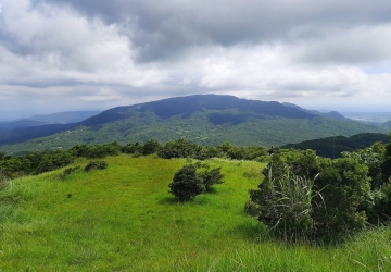 四林格山遊樂區